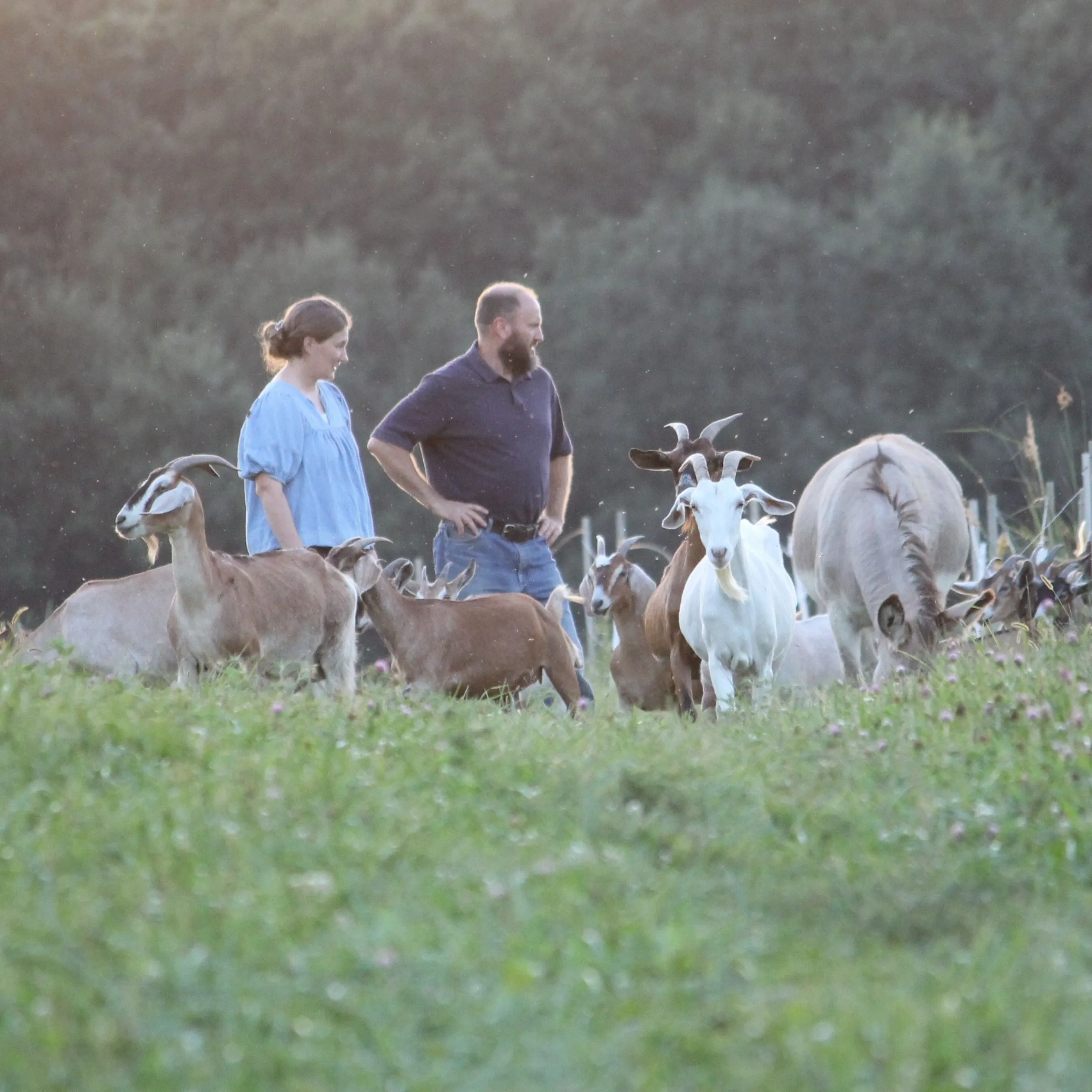 Brian and Melanie Fulton with goats