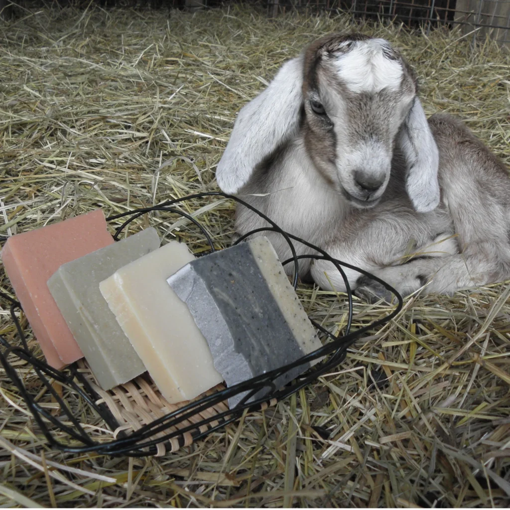 Visit our "scented goat milk soap page"