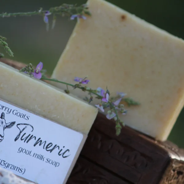 Turmeric unscented goat milk soap