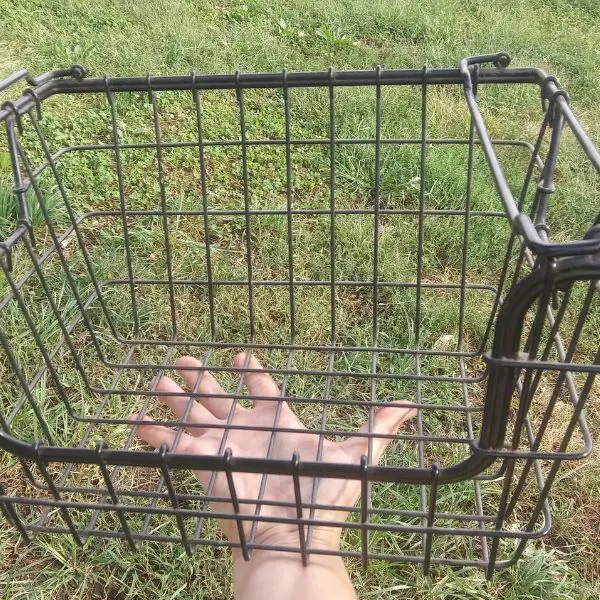 Wire Basket